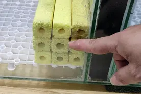 鱼缸过滤材料怎么摆放？这样摆放更高效合理，水质自然清澈见底视频封面