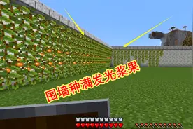 1.18生存38：老迪给围墙戴上帽子，墙壁上种满发光浆果