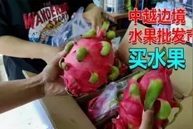 实拍中越边境水果批发市场：越南水果在这里很便宜，大都发往内地视频封面