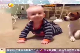 小宝宝学习爬行，狗狗看不下去亲自示范，简直太有爱|都市快报视频封面