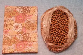 吃完桃子的核别扔掉了，和老帆布缝一起，放家中一年四季都能用视频封面