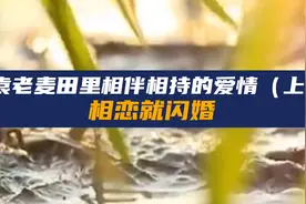 袁老麦田里相伴相持的爱情 上篇视频封面