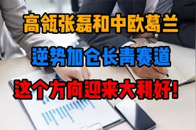 高瓴张磊和中欧葛兰逆势加仓长青赛道，这个方向迎来大利好！视频封面