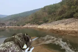 十二生肖：癞蛤蟆成精，吸干湖水，原始人吓得跪地祈祷视频封面