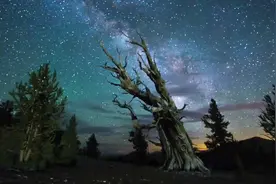 推荐一首空灵动感的纯音乐《沙漠之花》，戴上耳机简直爽呆了！