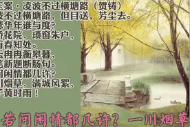 宋词鉴赏词典 • 46 • 贺铸（4）青玉案•凌波不过横塘路视频封面