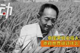 袁隆平的水稻人生：一生追逐“禾下乘凉梦” 号召年轻人做农业视频封面