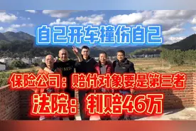自己开车撞伤自己把保险整无语！保险公司：赔付对象得为第三者视频封面