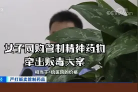 女子贷款20万元网购管制精神药物 牵出贩毒大案视频封面