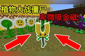 我的世界：植物大战僵尸，卑微吸金磁！释放双手！