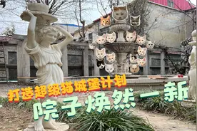 打扫超级猫城堡的院子，让我想到了一个游戏，你们看看干不干净