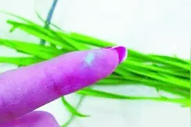 这3种韭菜最好不要买，菜贩子告诉我：白送也不能要视频封面