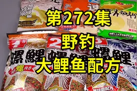 10年来基本从不失手的野钓大鲤鱼的饵料配方，专攻野生大鲤鱼视频封面