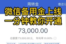 继微信“花呗”分付后，微信再添备用金功能，网友：模仿支付宝？视频封面