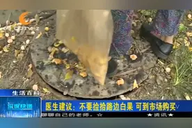 白果好吃，落地却“臭烘烘”，专家提醒不要徒手去捡！视频封面