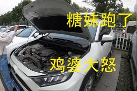 糖妹跑丢了，老婆很着急不知道还能不能找到？涛鸡公减肥太拖沓视频封面