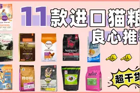 11款进口猫粮大合集！你选对了吗？#猫粮 #猫粮测评 #猫粮推荐视频封面