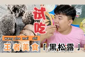 试吃200元1斤的黑松露，以前是猪吃的！你觉得好吃吗？视频封面