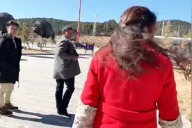 儿子大年三十还要上半天班，农村爸妈一起开车去机场接他回家团圆视频封面