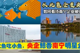中央上收广西首府南宁青秀兴宁区等6大明星企业，从此邕企变央企视频封面