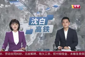 沈白高铁吉林段白山地区全线复工视频封面