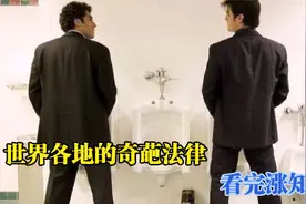 世界各地的奇葩法律，瑞士男人不能站着上厕所看完让人哭笑不得。视频封面