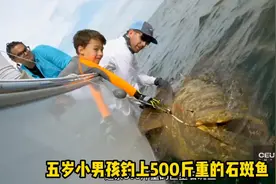 五岁小男孩钓上来一条500斤重的巨型石斑鱼.视频封面