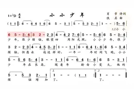 动态谱-小小少年视频封面