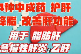 4种中成药，护肝，降脂，降转氨酶，用于脂肪肝、急慢性肝炎视频封面