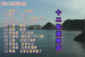 戴上耳机体验极致音效《十二磁性发烧男声》这声音太好听了！