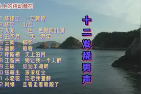 戴上耳机体验极致音效《十二磁性发烧男声》这声音太好听了！