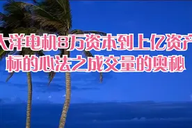 大洋电机8万资本到上亿资产标的心法之成交量的奥秘视频封面