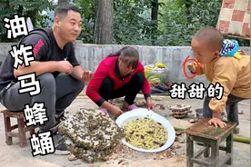 为了吃蜂蛹，摘了一个水桶粗的马蜂窝，油炸后隔壁的小孩都馋哭了视频封面