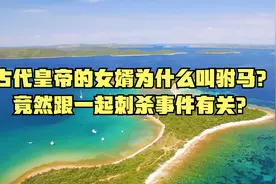 古代皇帝的女婿为什么叫驸马？竟然跟一起刺杀事件有关？视频封面