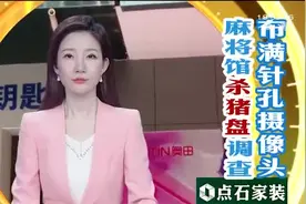 布满针孔摄像头，麻将馆“杀猪盘”调查视频封面