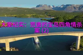 大案纪实：荒唐的宝岛四角情杀案 (2)视频封面