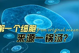 世界上第一个细胞是怎么产生的？据说来自“一锅汤”！视频封面