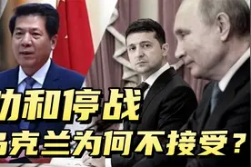 面对中国的劝和停战，乌克兰为何拒绝？停战为何最符合中国利益？视频封面