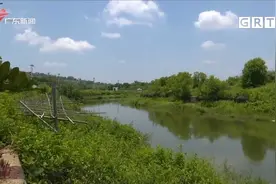 悲剧！汕尾陆丰多名小学生野泳溺水 众村民地毯式搜救视频封面