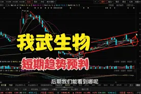 我武生物近期趋势预判