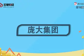 庞大集团[601258]视频封面