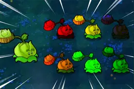 【坑版5】七种卷心菜，总有一款适合你！视频封面