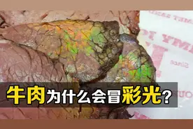 不可思议的“结构色”，为什么牛肉切片后会出现彩虹？视频封面