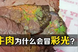 不可思议的“结构色”，为什么牛肉切片后会出现彩虹？视频封面