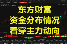 东方财富，资金分布情况，看穿主力动向视频封面