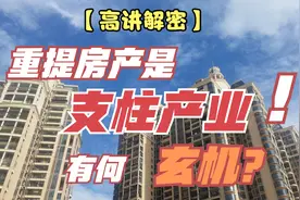解密：重提房产是支柱产业，房屋购买从投资变为消费！有何玄机？视频封面
