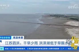 江苏泗洪：干旱少雨，洪泽湖低于旱限水位|经济信息联播视频封面