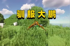 我的世界RLCraft生存32 驯服大鹏