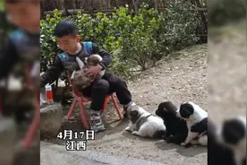 萌娃学习大人的样子，抱着小奶狗给狗子喂奶视频封面