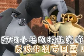 舔狗鼻祖的人生巅峰，狐猴遭镭射体型长大，居然反攻国王朱利安视频封面
